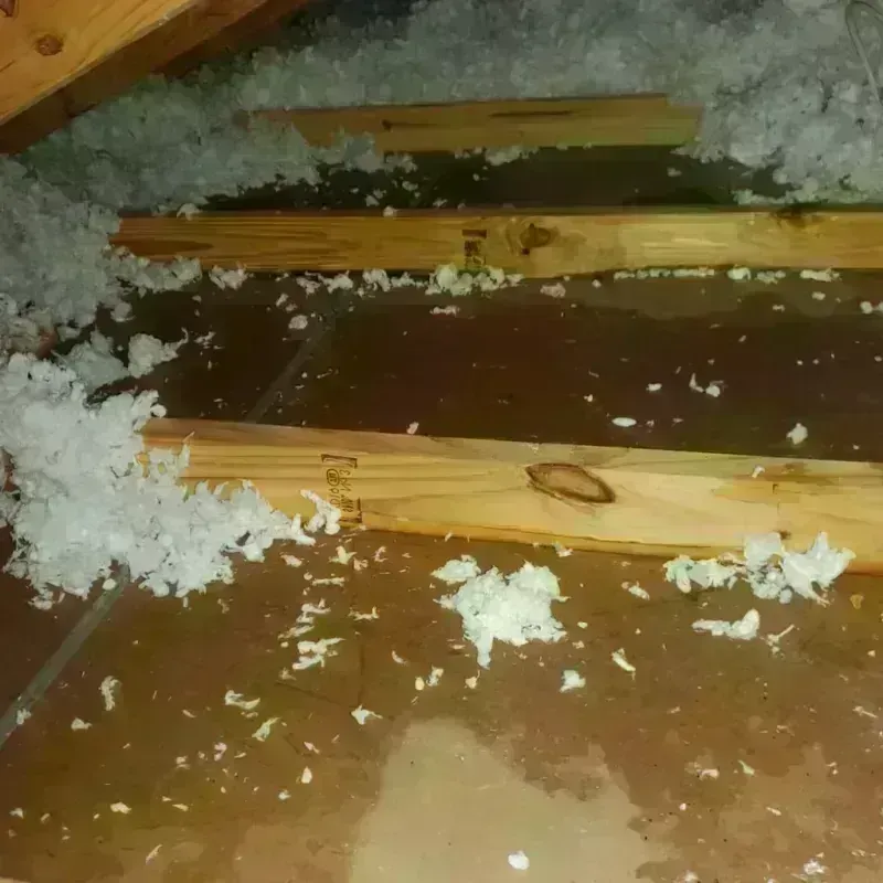 Attic Water Damage in Clintondale, NY